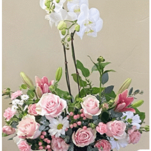 Orquideas en Arreglo